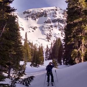 Meet your Posher, Molly